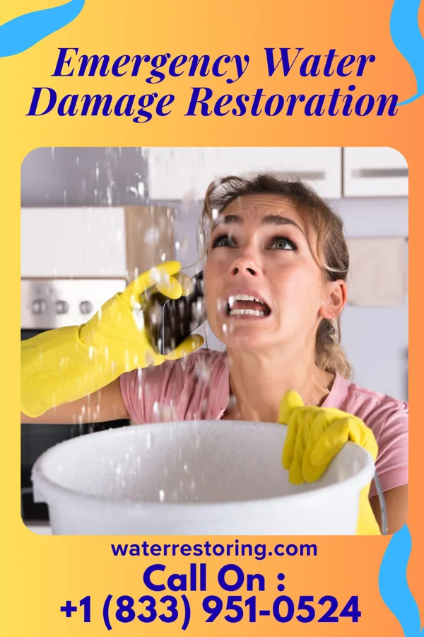 Emergency Water Damage Restoration in Mount Pleasant, TN