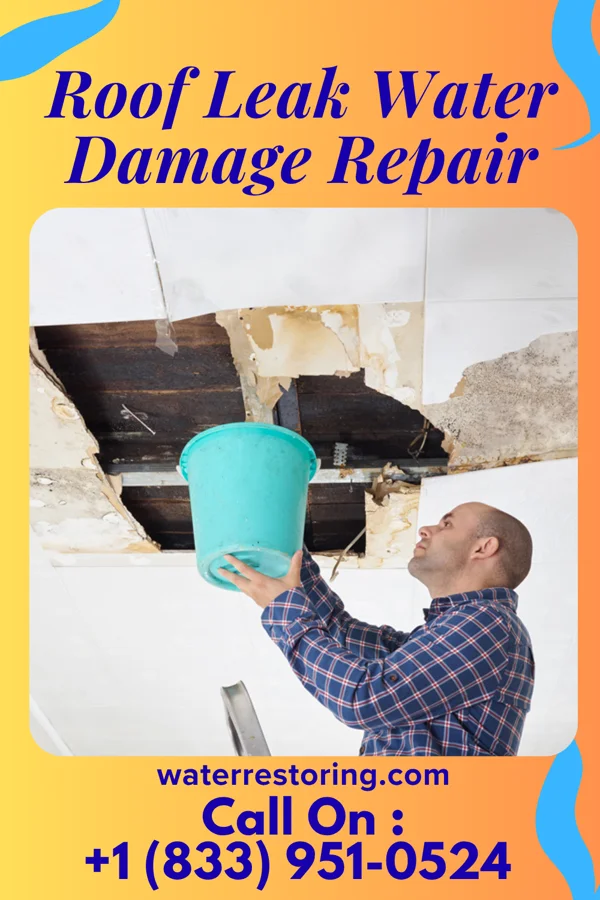 Roof Leak Water Damage Repair in Mount Pleasant, TN